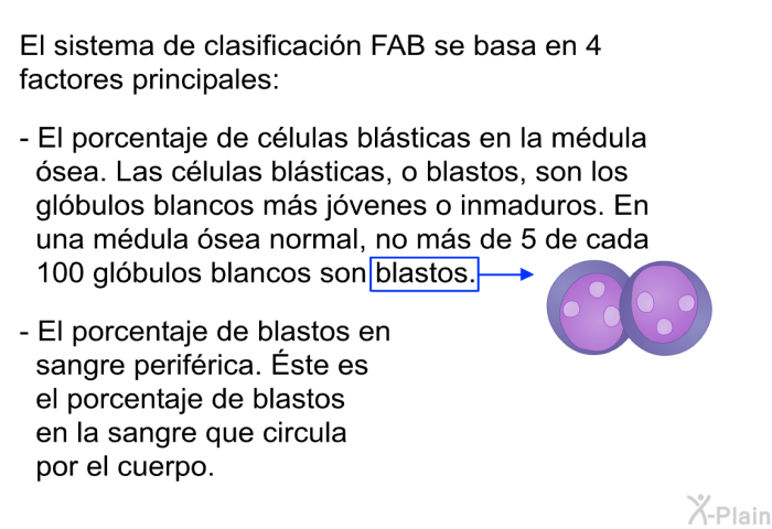 El sistema de clasificacin FAB se basa en 4 factores principales:  El porcentaje de clulas blsticas en la mdula sea. Las clulas blsticas, o blastos, son los glbulos blancos ms jvenes o inmaduros. En una mdula sea normal, no ms de 5 de cada 100 glbulos blancos son blastos. El porcentaje de blastos en sangre perifrica. Éste es el porcentaje de blastos en la sangre que circula por el cuerpo.