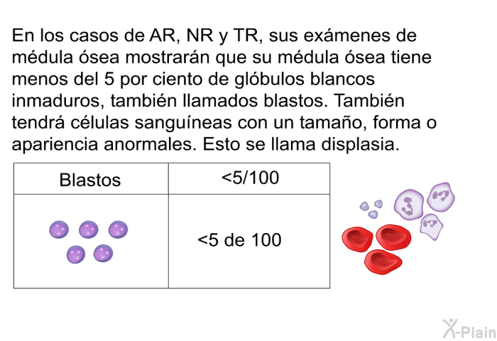 En los casos de AR, NR y TR, sus ex�menes de m�dula �sea mostrar�n que su m�dula �sea tiene menos del 5 por ciento de gl�bulos blancos inmaduros, tambi�n llamados blastos. Tambi�n tendr� c�lulas sangu�neas con un tama�o, forma o apariencia anormales. Esto se llama displasia.