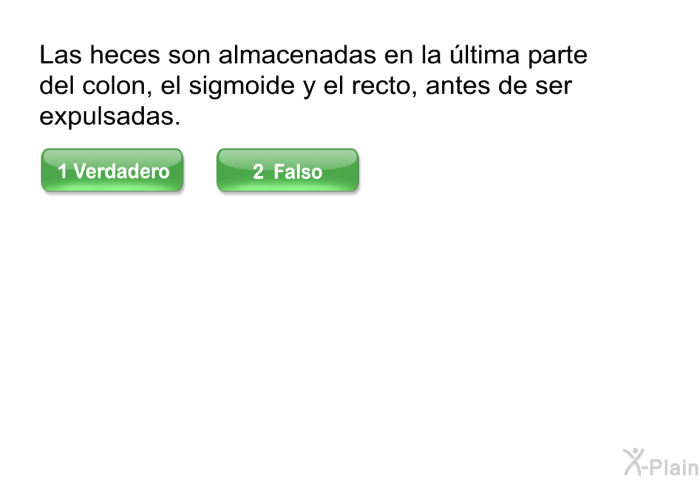 Las heces son almacenadas en la ltima parte del colon, el sigmoide y el recto, antes de ser expulsadas.