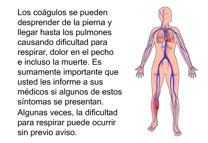 Los co�gulos se pueden desprender de la pierna y llegar hasta los pulmones causando dificultad para respirar, dolor en el pecho e incluso la muerte. Es sumamente importante que usted les informe a sus m�dicos si algunos de estos s�ntomas se presentan. Algunas veces, la dificultad para respirar puede ocurrir sin previo aviso.