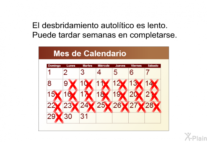 El desbridamiento autoltico es lento. Puede tardar semanas en completarse.