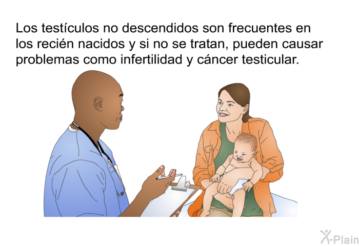 Los testculos no descendidos son frecuentes en los recin nacidos y si no se tratan, pueden causar problemas como infertilidad y cncer testicular.