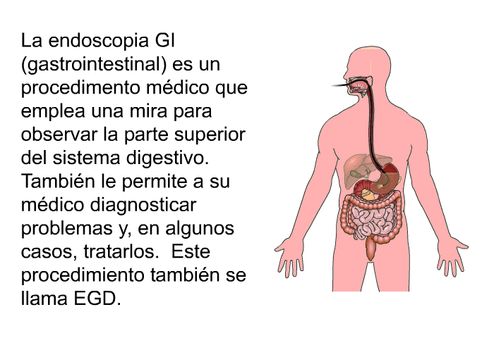 La endoscopia GI (gastrointestinal) es un procedimento mdico que emplea una mira para observar la parte superior del sistema digestivo. Tambin le permite a su mdico diagnosticar problemas y, en algunos casos, tratarlos. Este procedimiento tambin se llama EGD.