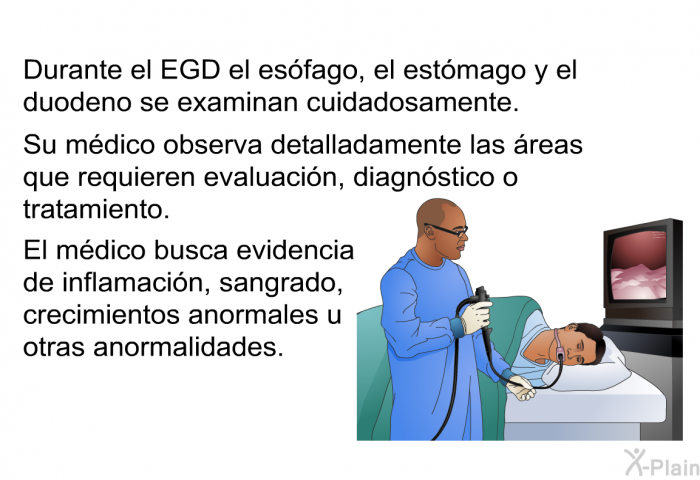 Durante el EGD el esfago, el estmago y el duodeno se examinan cuidadosamente. Su mdico observa detalladamente las reas que requieren evaluacin, diagnstico o tratamiento. El mdico busca evidencia de inflamacin, sangrado, crecimientos anormales u otras anormalidades.