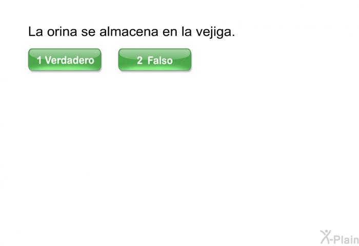 La orina se almacena en la vejiga.