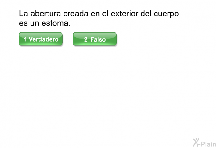 La abertura creada en el exterior del cuerpo es un estoma.