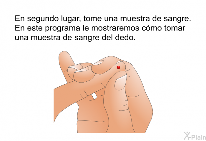 En segundo lugar, tome una muestra de sangre. Esta informacin le explicar cmo tomar una muestra de sangre del dedo.