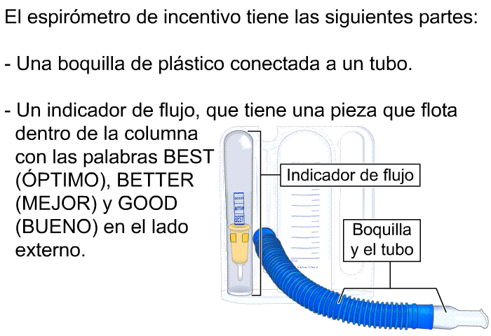 El espirmetro de incentivo tiene las siguientes partes:  Una boquilla de plstico conectada a un tubo. Un indicador de flujo, que tiene una pieza que flota dentro de la columna con las palabras <I>BEST</I> (ÓPTIMO), <I>BETTER</I> (MEJOR) y <I>GOOD</I> (BUENO) en el lado externo.