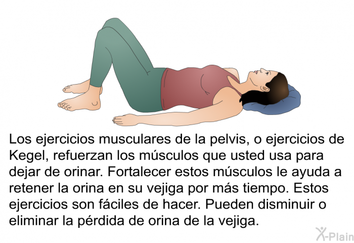 Los ejercicios musculares de la pelvis, o ejercicios de Kegel, refuerzan los msculos que usted usa para dejar de orinar. Fortalecer estos msculos le ayuda a retener la orina en su vejiga por ms tiempo. Estos ejercicios son fciles de hacer. Pueden disminuir o eliminar la prdida de orina de la vejiga.