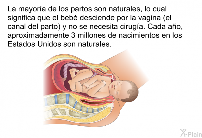 La mayora de los partos son naturales, lo cual significa que el beb desciende por la vagina (el canal del parto) y no se necesita ciruga. Cada ao, aproximadamente 3 millones de nacimientos en los Estados Unidos son naturales.
