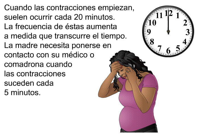 Cuando las contracciones empiezan, suelen ocurrir cada 20 minutos. La frecuencia de �stas aumenta a medida que transcurre el tiempo. La madre necesita ponerse en contacto con su m�dico o comadrona cuando las contracciones suceden cada 5 minutos.