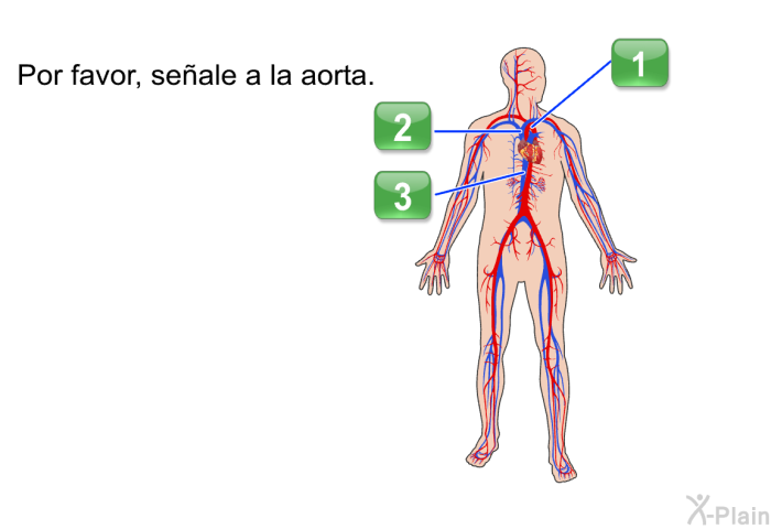 Por favor, seale a la aorta.