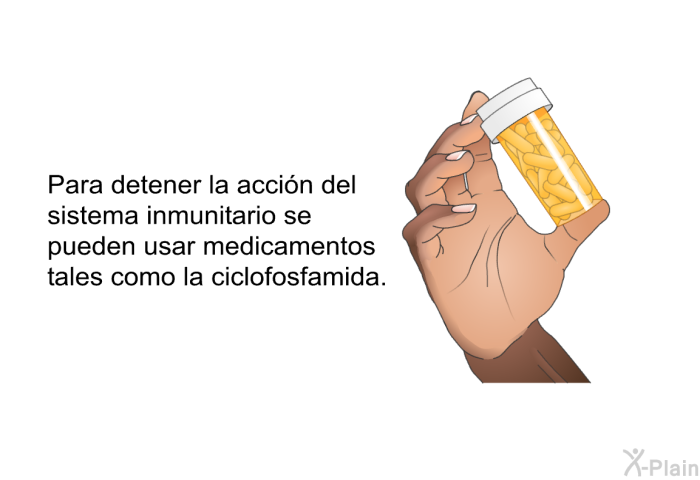 Para detener la acci�n del sistema inmunitario se pueden usar medicamentos tales como la <I>ciclofosfamida</I>.