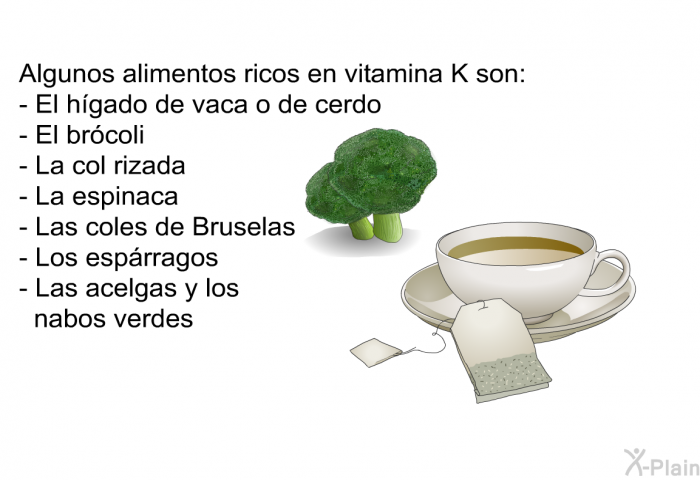 Algunos alimentos ricos en vitamina K son:  El hgado de vaca o de cerdo El brcoli La col rizada La espinaca Las coles de Bruselas Los esprragos Las acelgas y los nabos verdes