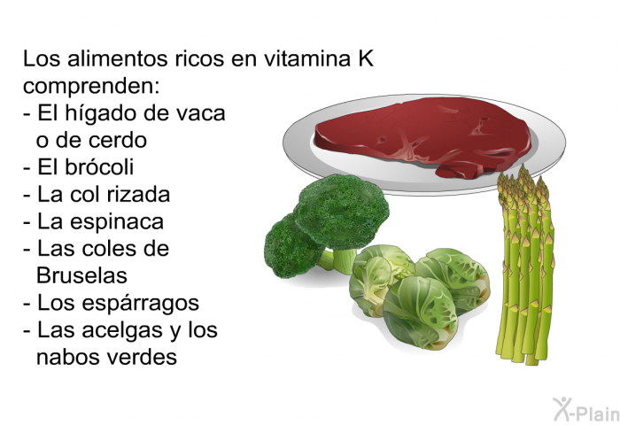 Los alimentos ricos en vitamina K comprenden:  El hgado de vaca o de cerdo El brcoli La col rizada La espinaca Las coles de Bruselas Los esprragos Las acelgas y los nabos verdes