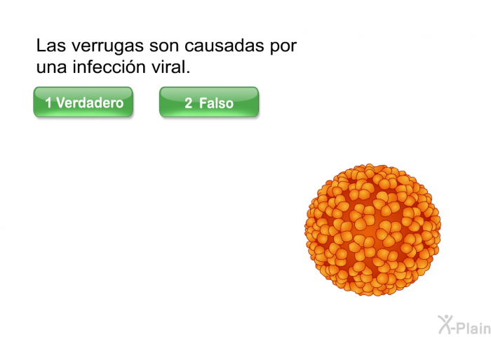 Las verrugas son causadas por una infeccin viral.