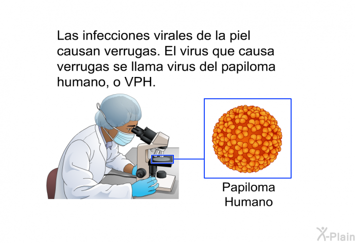 Las infecciones virales de la piel causan verrugas. El virus que causa verrugas se llama virus del papiloma humano, o VPH.