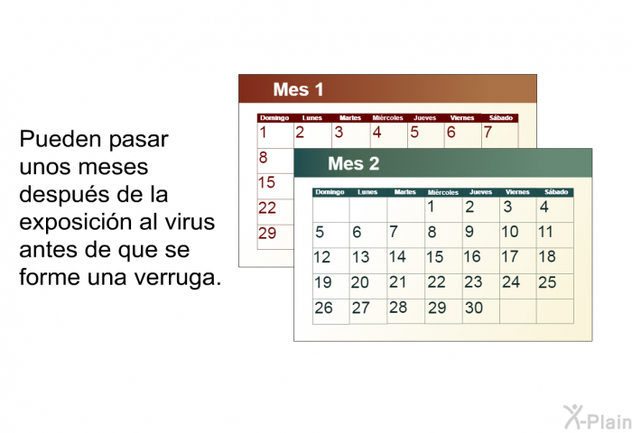 Pueden pasar unos meses despus de la exposicin al virus antes de que se forme una verruga.