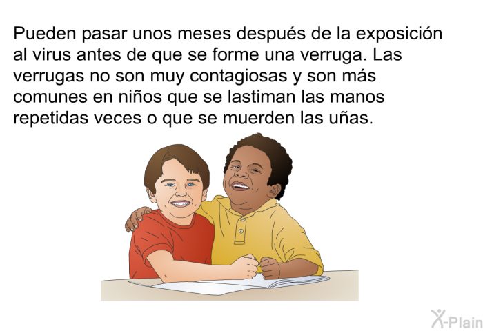 Pueden pasar unos meses despu�s de la exposici�n al virus antes de que se forme una verruga. Las verrugas no son muy contagiosas y son m�s comunes en ni�os que se lastiman las manos repetidas veces o que se muerden las u�as.