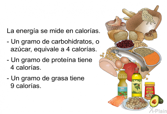 La energa se mide en caloras.  Un gramo de carbohidratos, o azcar, equivale a 4 caloras. Un gramo de protena tiene 4 caloras. Un gramo de grasa tiene 9 caloras.