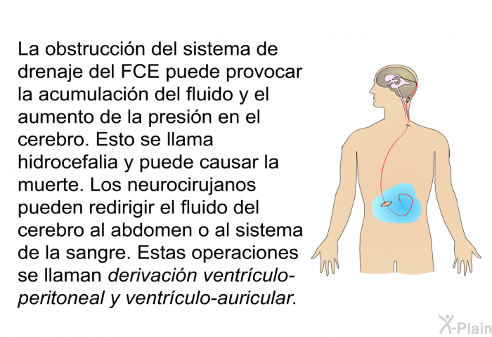 La obstruccin del sistema de drenaje del FCE puede provocar la acumulacin del fluido y el aumento de la presin en el cerebro. Esto se llama hidrocefalia y puede causar la muerte. Los neurocirujanos pueden redirigir el fluido del cerebro al abdomen o al sistema de la sangre. Estas operaciones se llaman <I>derivacin ventrculo-peritoneal y ventrculo-auricular</I>.