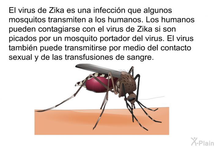 El virus de Zika es una infeccin que algunos mosquitos transmiten a los humanos. Los humanos pueden contagiarse con el virus de Zika si son picados por un mosquito portador del virus. El virus tambin puede transmitirse por medio del contacto sexual y de las transfusiones de sangre.