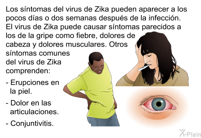 Los sntomas del virus de Zika pueden aparecer a los pocos das o dos semanas despus de la infeccin. El virus de Zika puede causar sntomas parecidos a los de la gripe como fiebre, dolores de cabeza y dolores musculares. Otros sntomas comunes del virus de Zika comprenden:  Erupciones en la piel. Dolor en las articulaciones. Conjuntivitis.